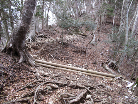 20160218hike (94)